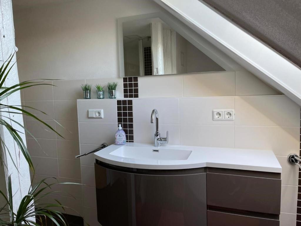 Ferienwohnung Kreft 탈레 외부 사진